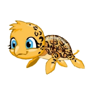 Leopard Turtle